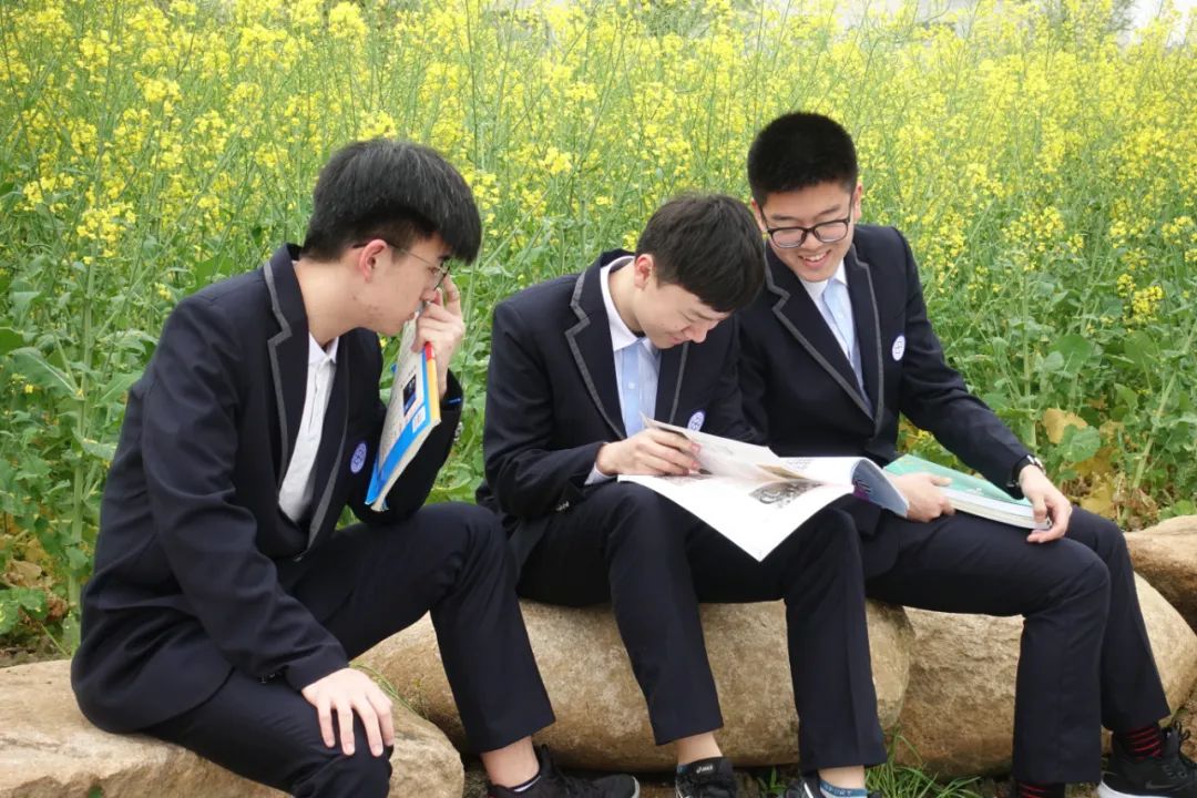 中考美术|关于2020年杭州市区普通高*特中**色班招生工作的通知