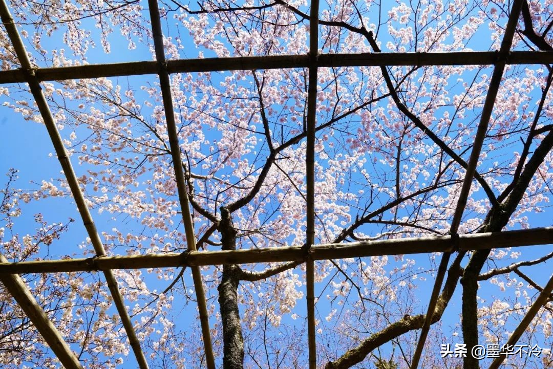 京都一眼千年的美景,京都永恒的美