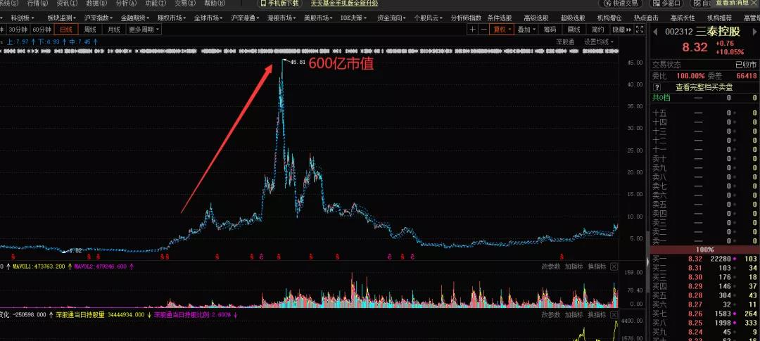 三泰控股公司简介,三泰控股是行业龙头么