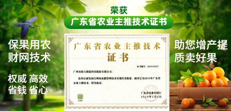 柑橘树现在落叶怎么回事,柑橘现在会黄落叶这是怎么了