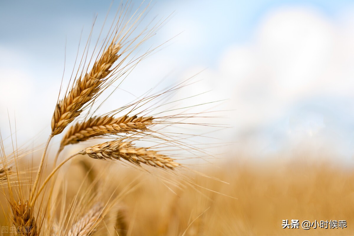 阅读题答题技巧记叙文,记叙类文本阅读题
