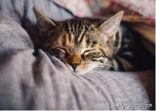 她失眠三年，痛苦不堪，数月后被治愈：做好三件事，和失眠说再见