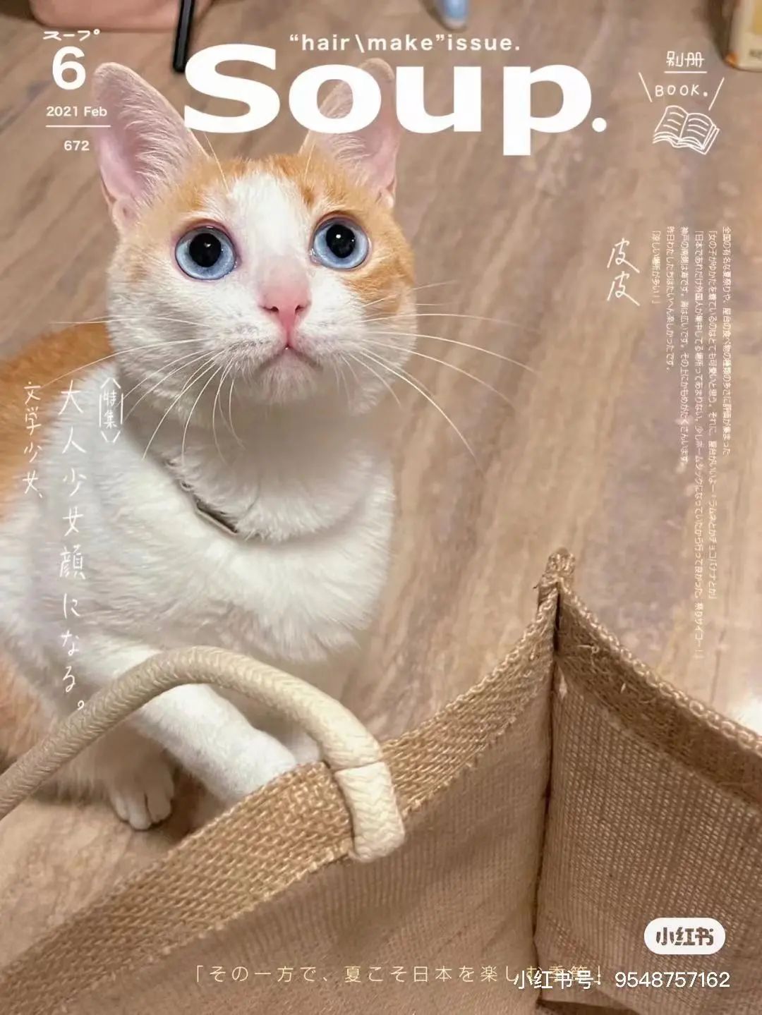 金发碧眼双眼皮!这猫我说一句“橘中最美”不过份吧?