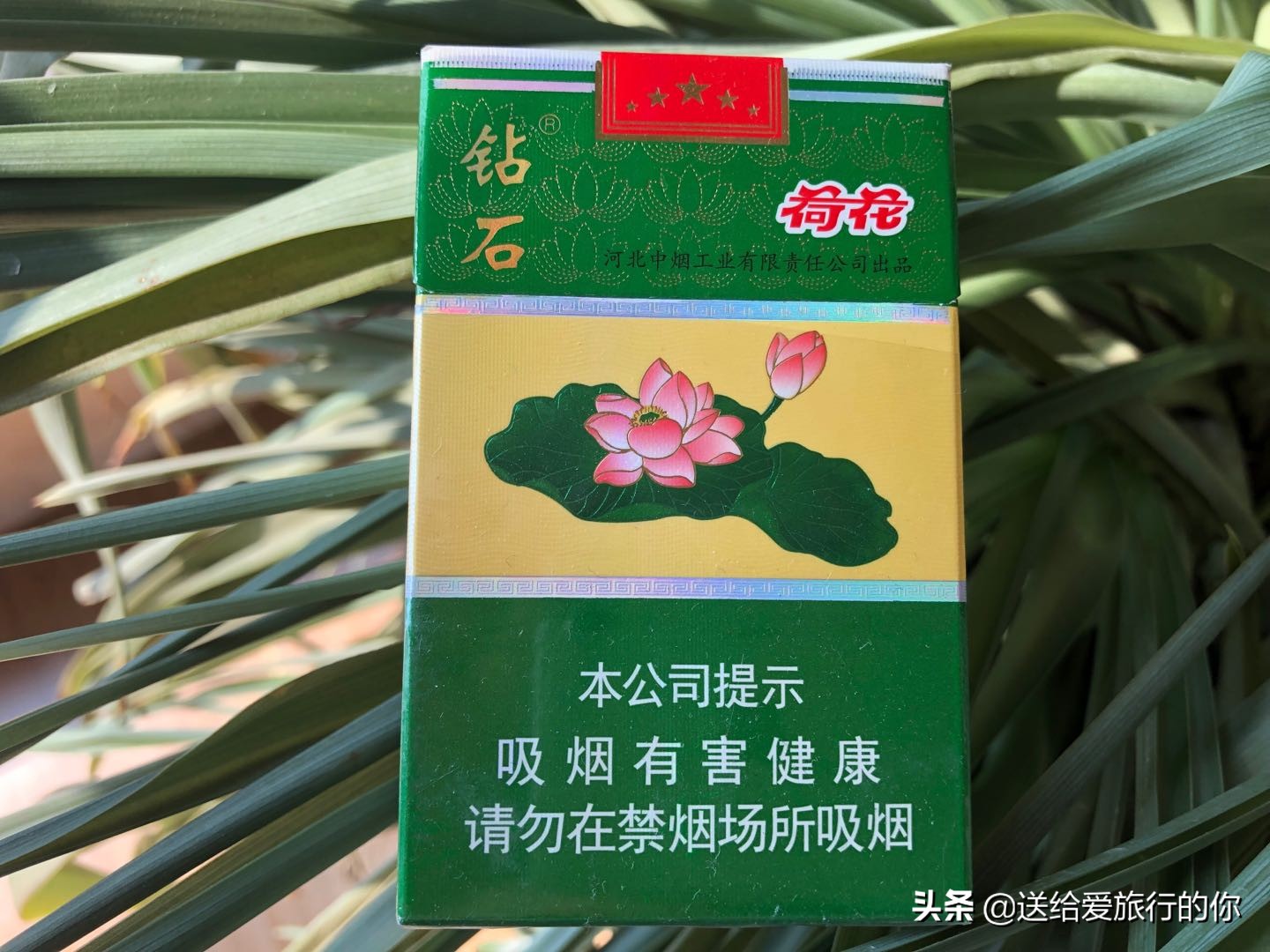 一支“香烟”带我们遨游中国