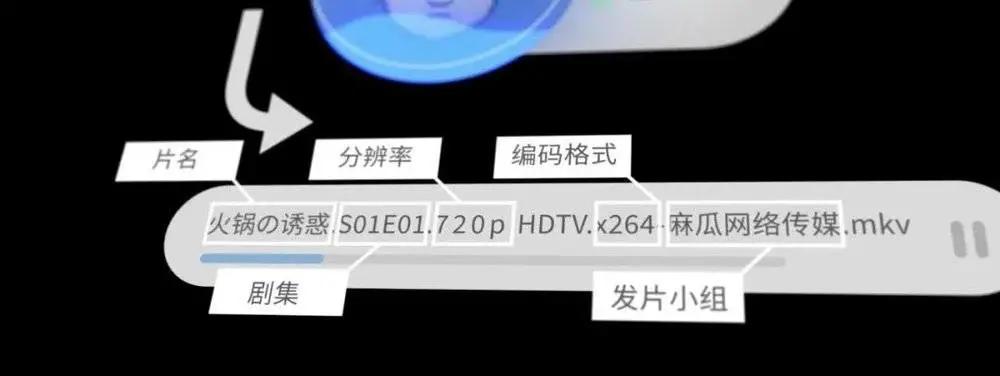 你看的盗版电影，都是从哪儿来的？