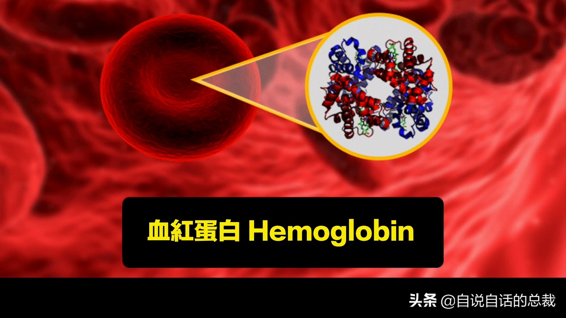 蚬蚌蛏的区别是什么,蚶子蛤蜊蚬子区别