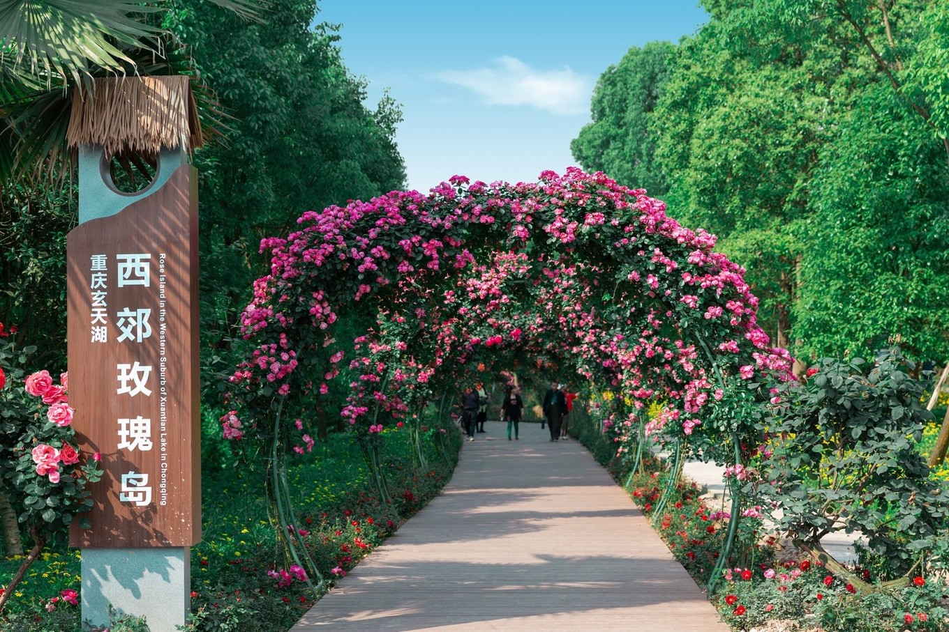 治愈圣地，共赴重庆合川铜梁，一见古今山水城