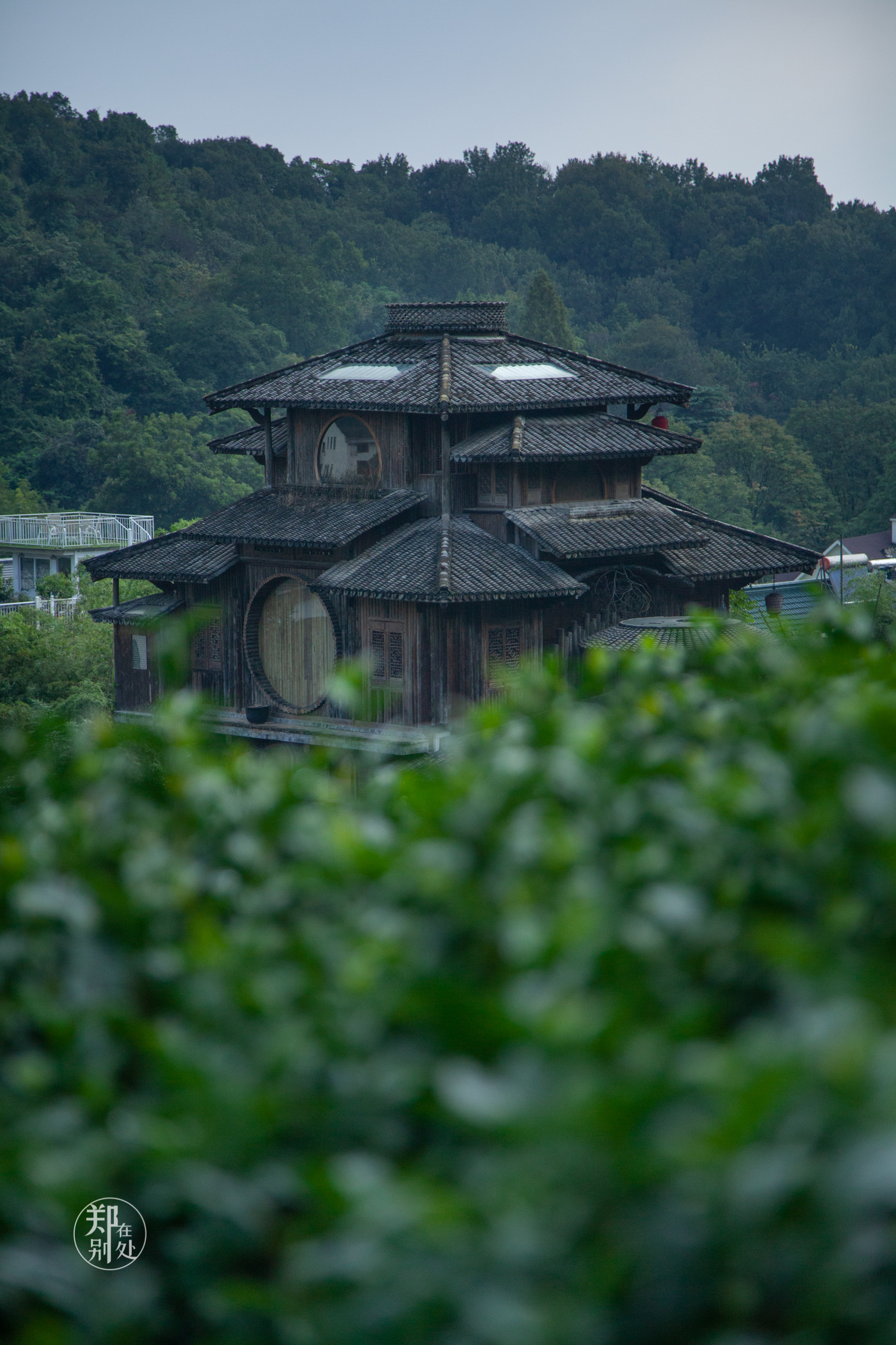 坐公交游杭州几路最好,杭州87路公交沿路风景