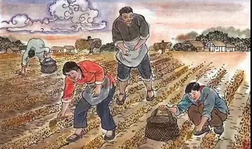 海门说吴语的人哪里来的,海门讲吴语