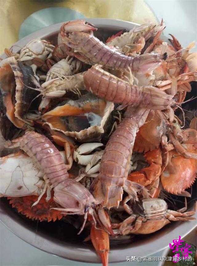 人间六月天，来海岛许一场似水流年——唐山乐亭韩姐农家院