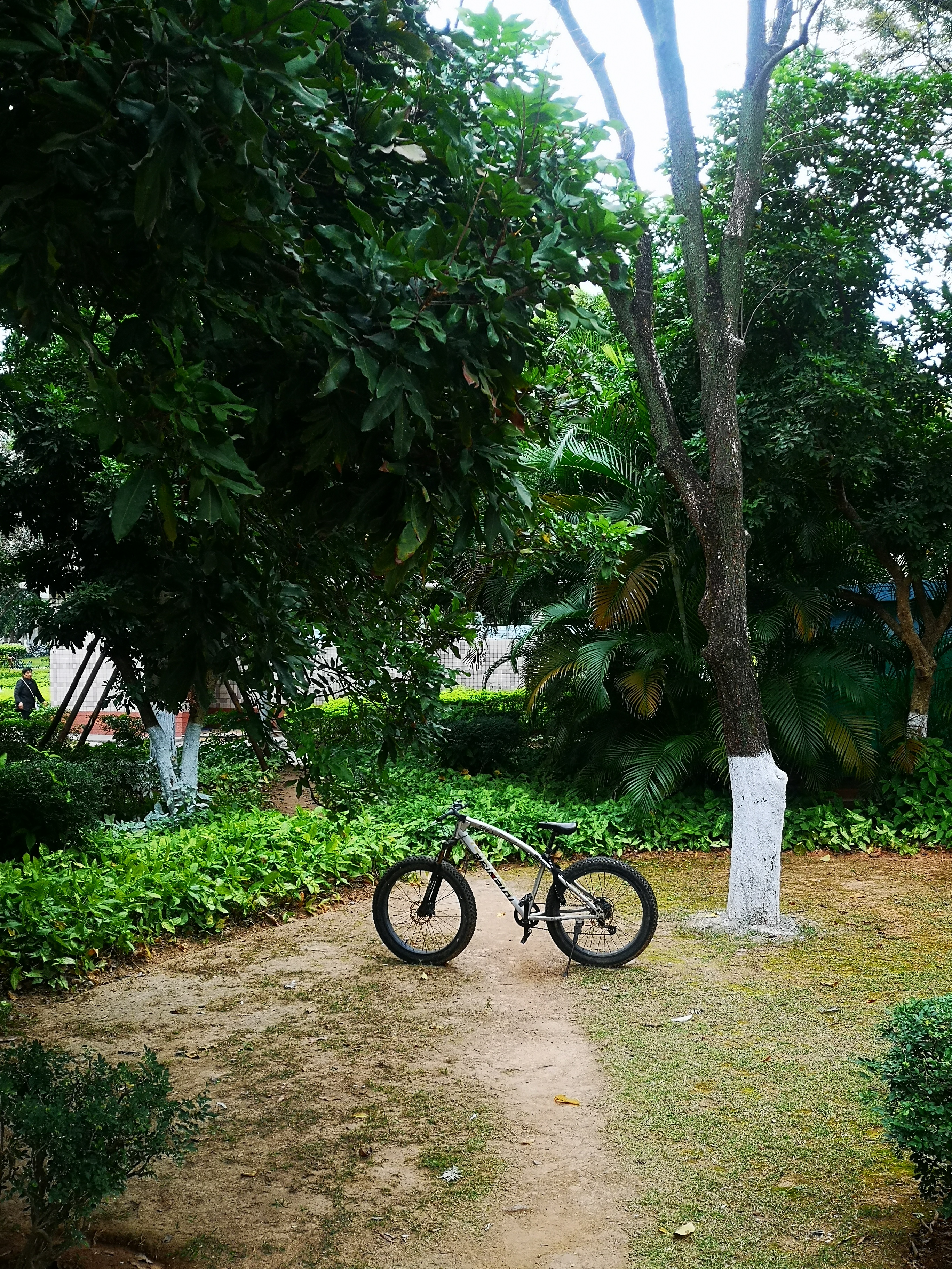 自助游厦门花费,厦门到北京自助游攻略