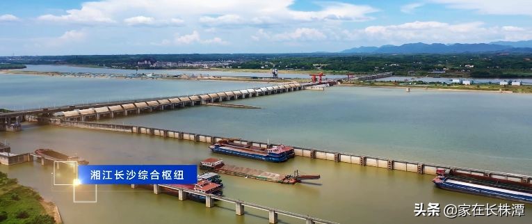 看了它,你会觉得望城原来这么牛