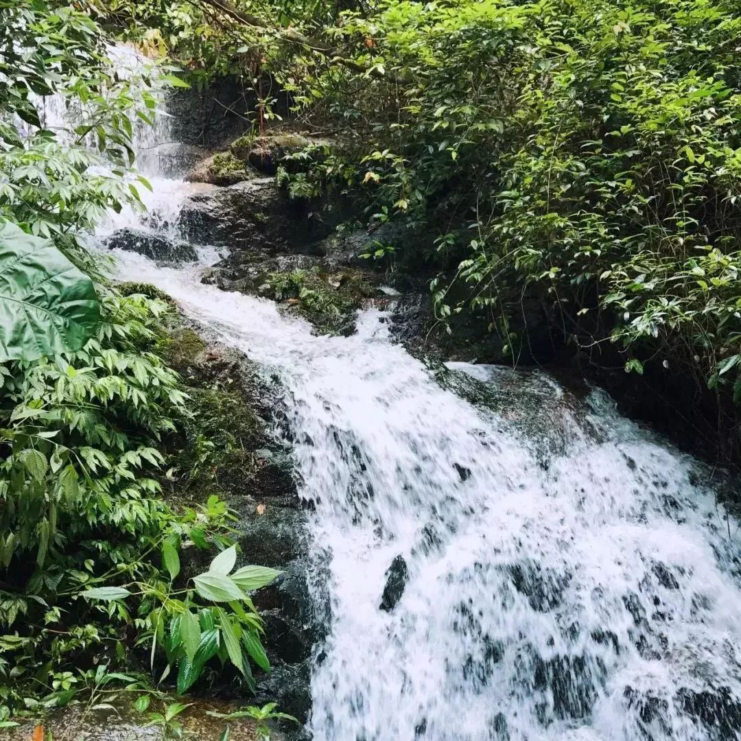 国庆与家人、朋友住韶关碧桂园*阳城太**凤凰酒店享美好假期