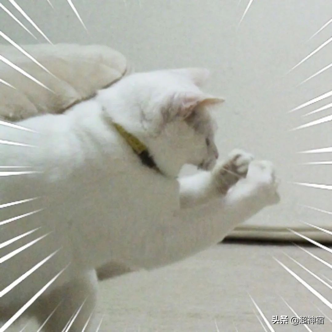 比痘痘更烦人的闭口来了,最有效的去闭口*法大**看过来