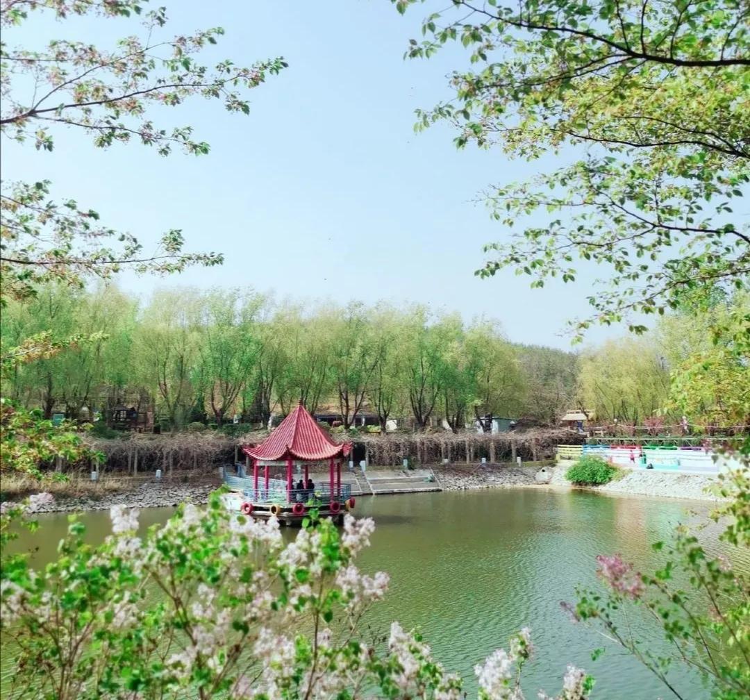 将军有剑不斩苍蝇全诗意思,将军有剑不斩苍蝇的下一句