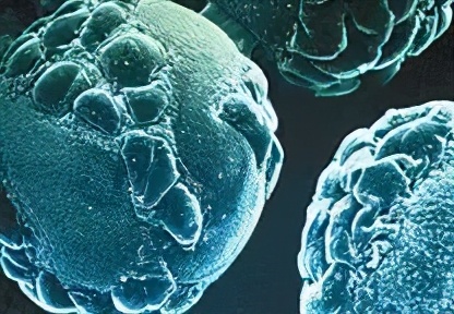 带状疱疹发展过程是怎么样的,带状疱疹怎么发生的