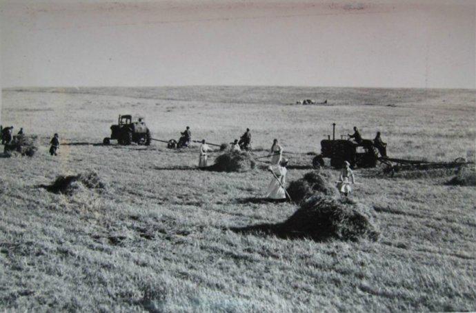 四子王旗乌兰花全景,乌兰花四子王旗