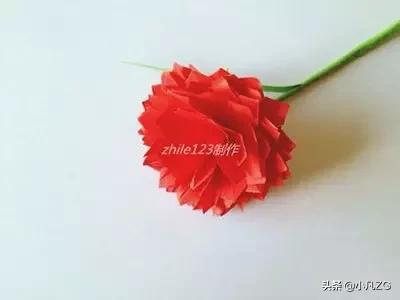 用卫生纸折康乃馨而且还不用铁丝,怎样折康乃馨最简单只需一张纸