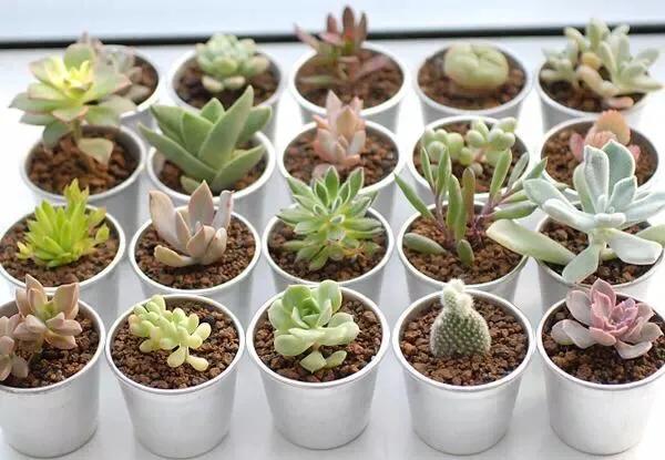 送给老师的教师节礼物有诚意,老师辛苦了教师节礼盒