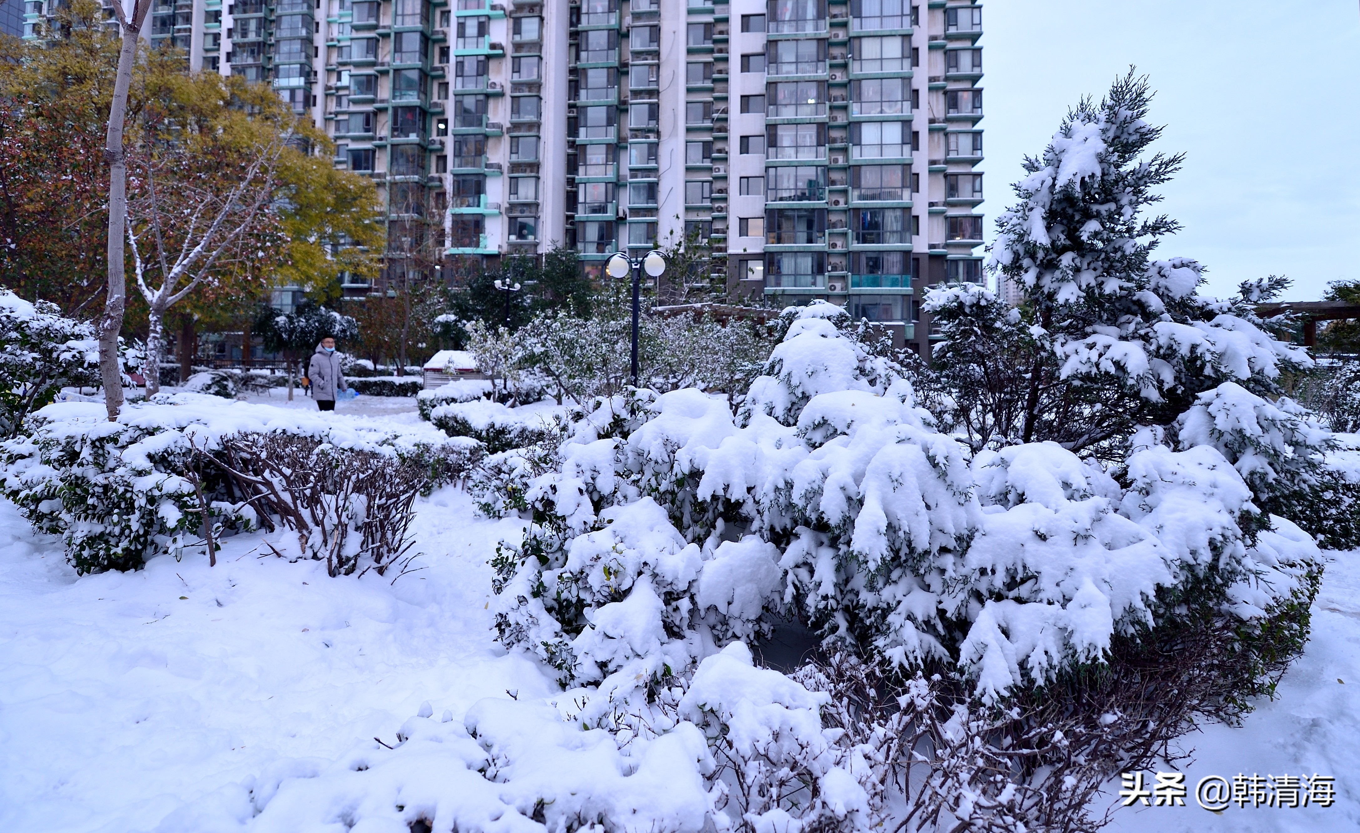 2021天津第一雪水畔花园小区装扮得更加圣洁和美丽