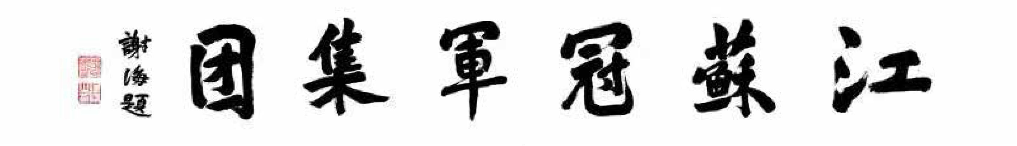 江苏冠军科技集团董事长谢海,冠军涂料谢海