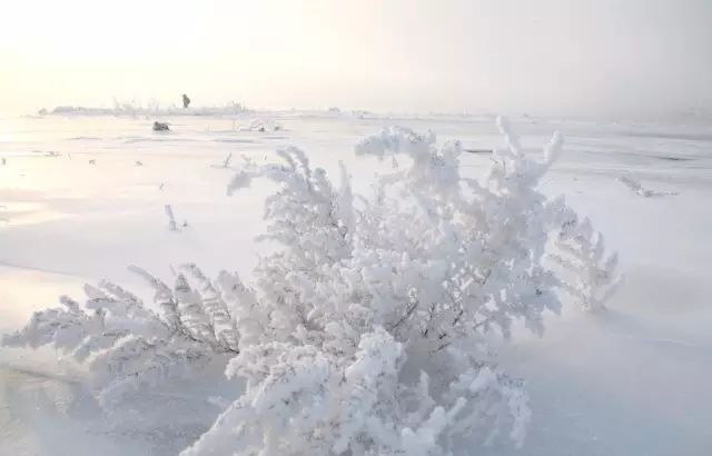 长白山冬天去是不是更美,长白山的冬天美得让人窒息