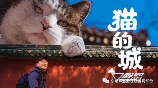 玩转京城北京,游北京游记