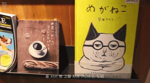 38岁独居全职博主,韩国独居博主