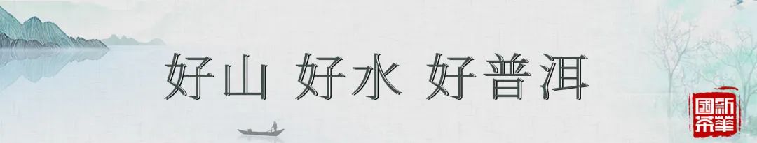 云南茶叶怎么分辨好坏,云南茶叶为什么那么便宜