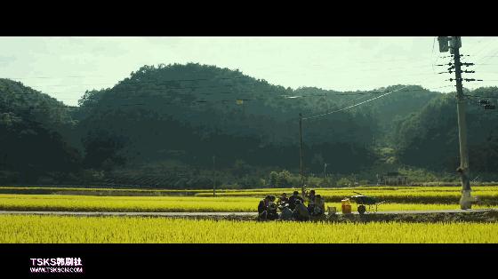 比釜山行更精彩更刺激的丧尸,釜山行这部丧尸片凭什么让你哭