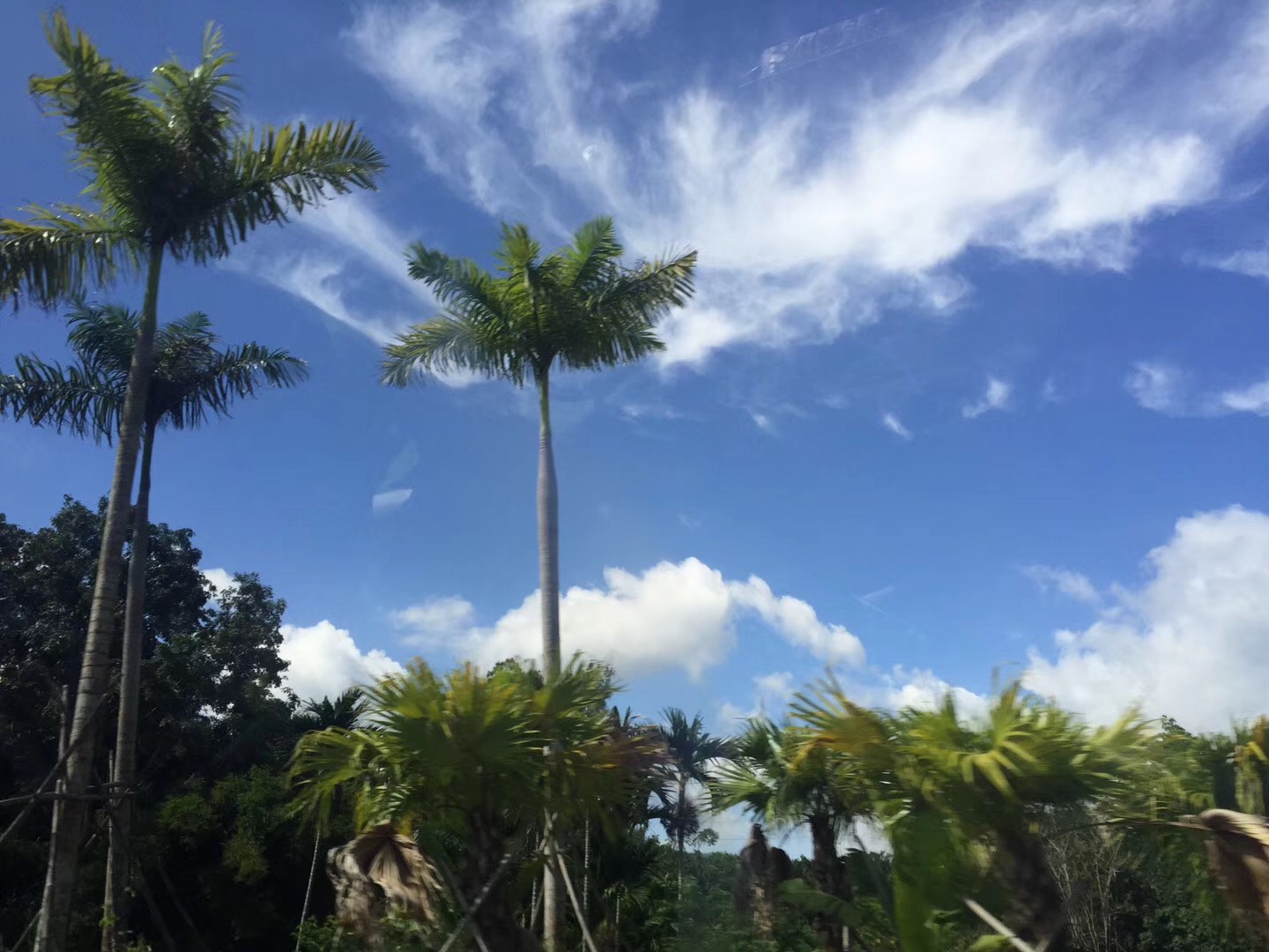 一个人如何把周末过成美好的样子？