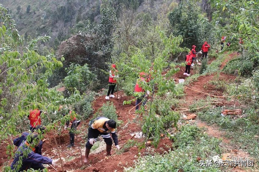 云锡控股集团有限公司,青春聚力新时代