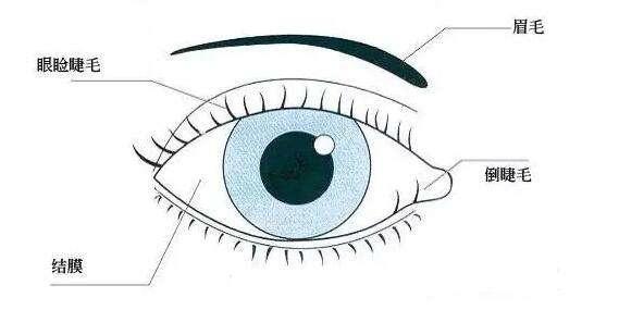 你还在用这种方法烫睫毛吗,最近很火的烫睫毛方法