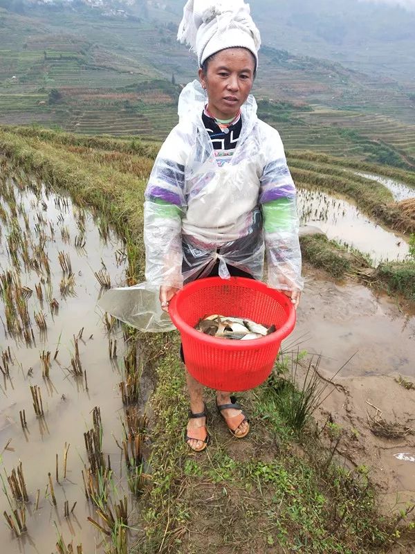 昆明必须知道的高端饭店,昆明市比较出名的饭店