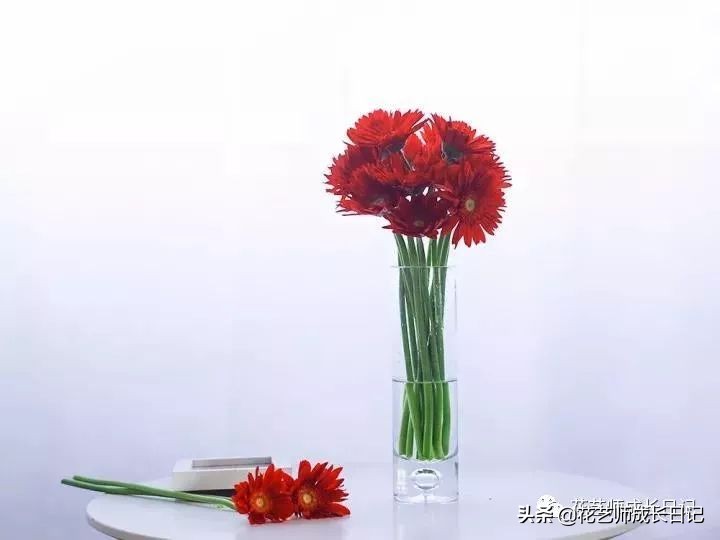 开花店花材损耗,花店新到花材如何打理