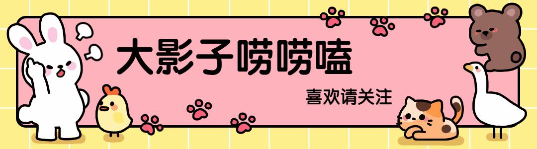 朱广权你要如何不负青春,朱广权随便说的话