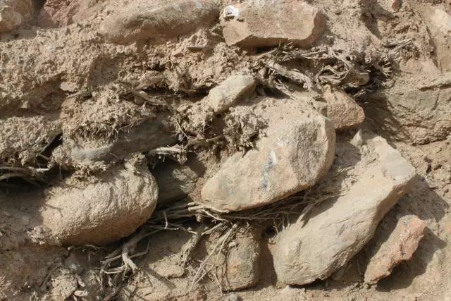 长城的来历和简介,甘肃永昌长城