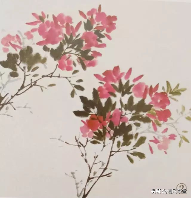 少儿国画花卉画法视频,各种花卉的100种画法