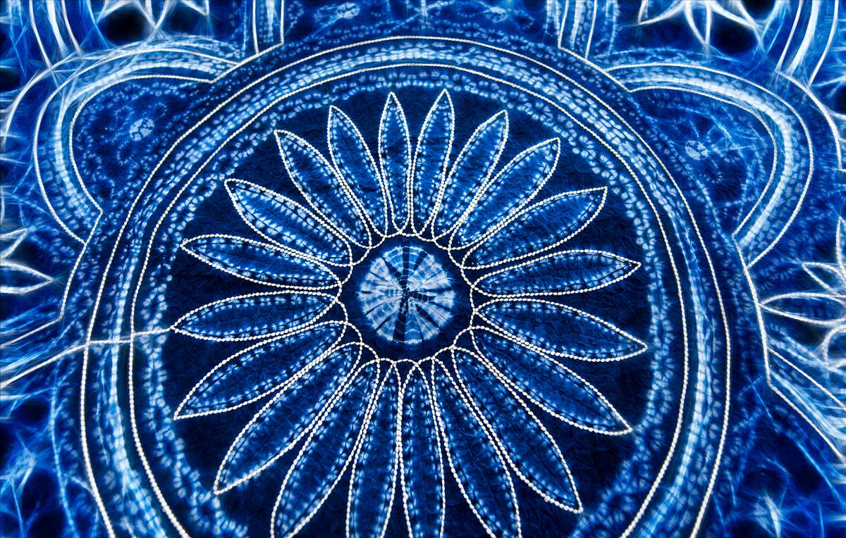 云南有什么特产可以带回家,云南补品十大特产