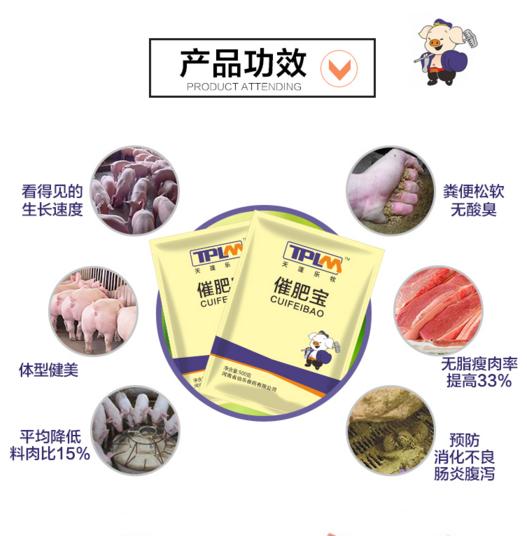 育肥肥猪用什么肥最好,育肥猪喂什么肥最好