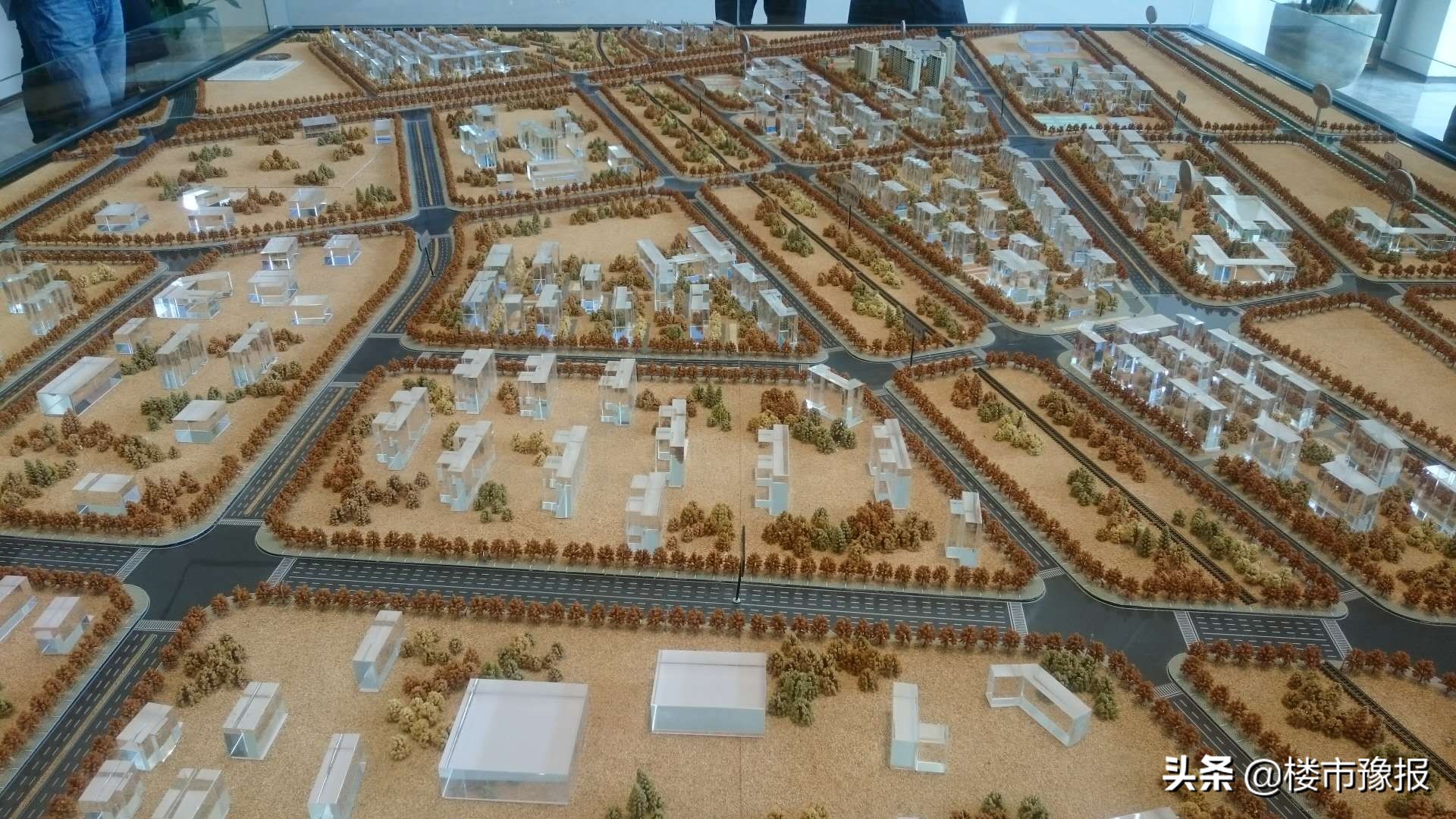 落子大郑北，执笔青云叙，绿都超500亩大盘亮相北区