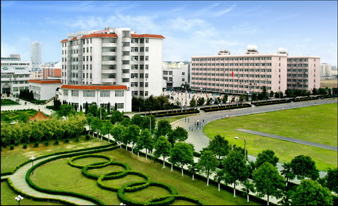 中专三加二读了有什么出路,中专读中西医学的学生的出路