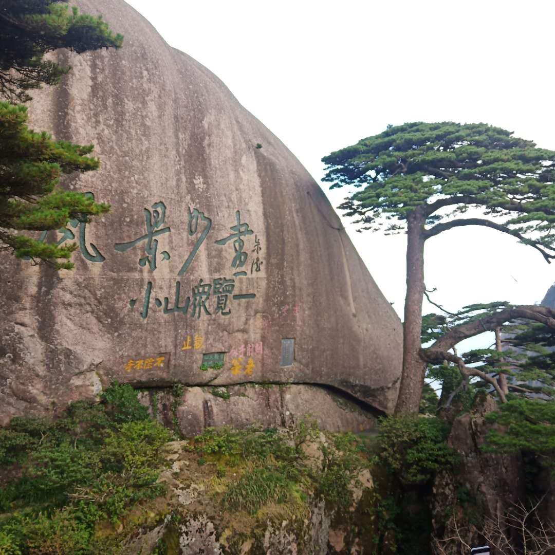黄山游记,游记黄山