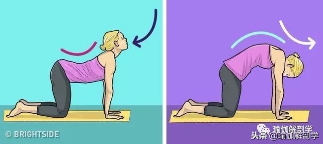 瑜伽基础体式初学者,100个基础体式图