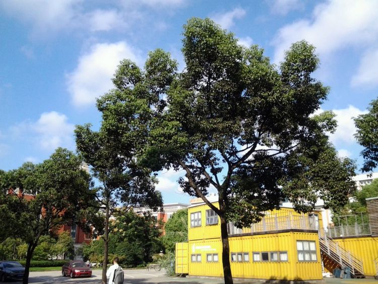 走进上海中科院,上海理工大学历史