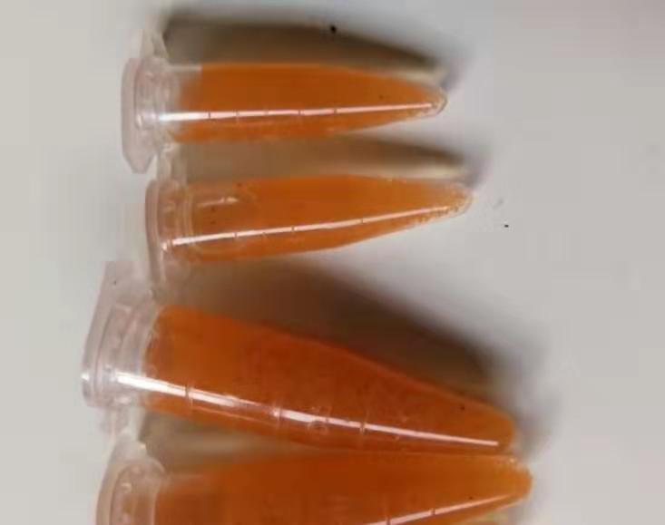 选择给孔雀鱼投喂的食物有很多，但是有一种，不适合投喂鱼苗