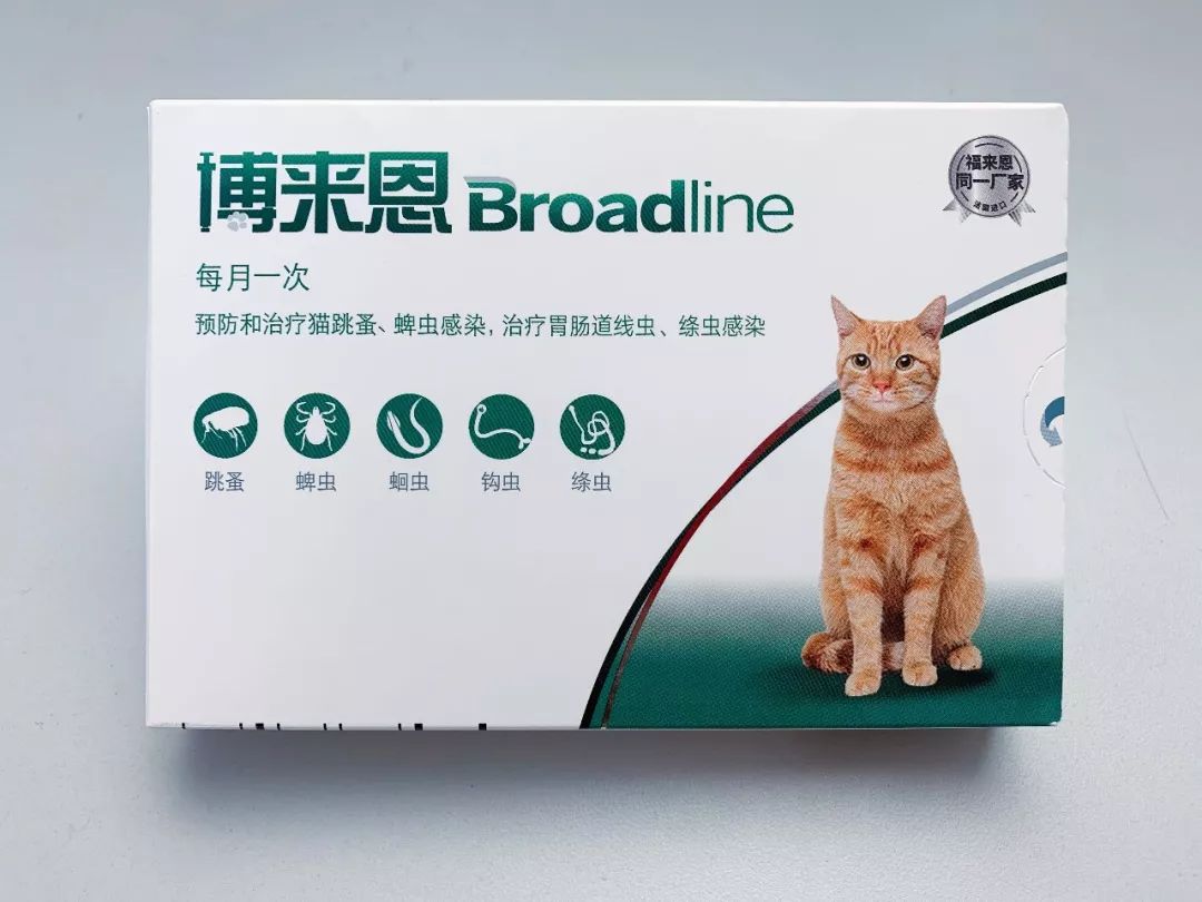 猫咪用博来恩外驱后多久才能舔毛,博来恩和拜耳内驱可以同时用吗