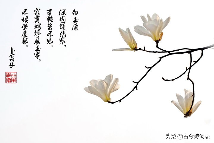 经典古诗词500首,经典古诗词100篇大全