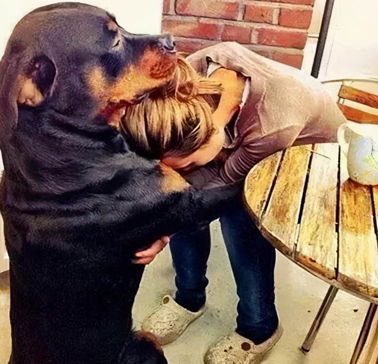 盘点那些“粘人精”的狗狗，上厕所也不放过你