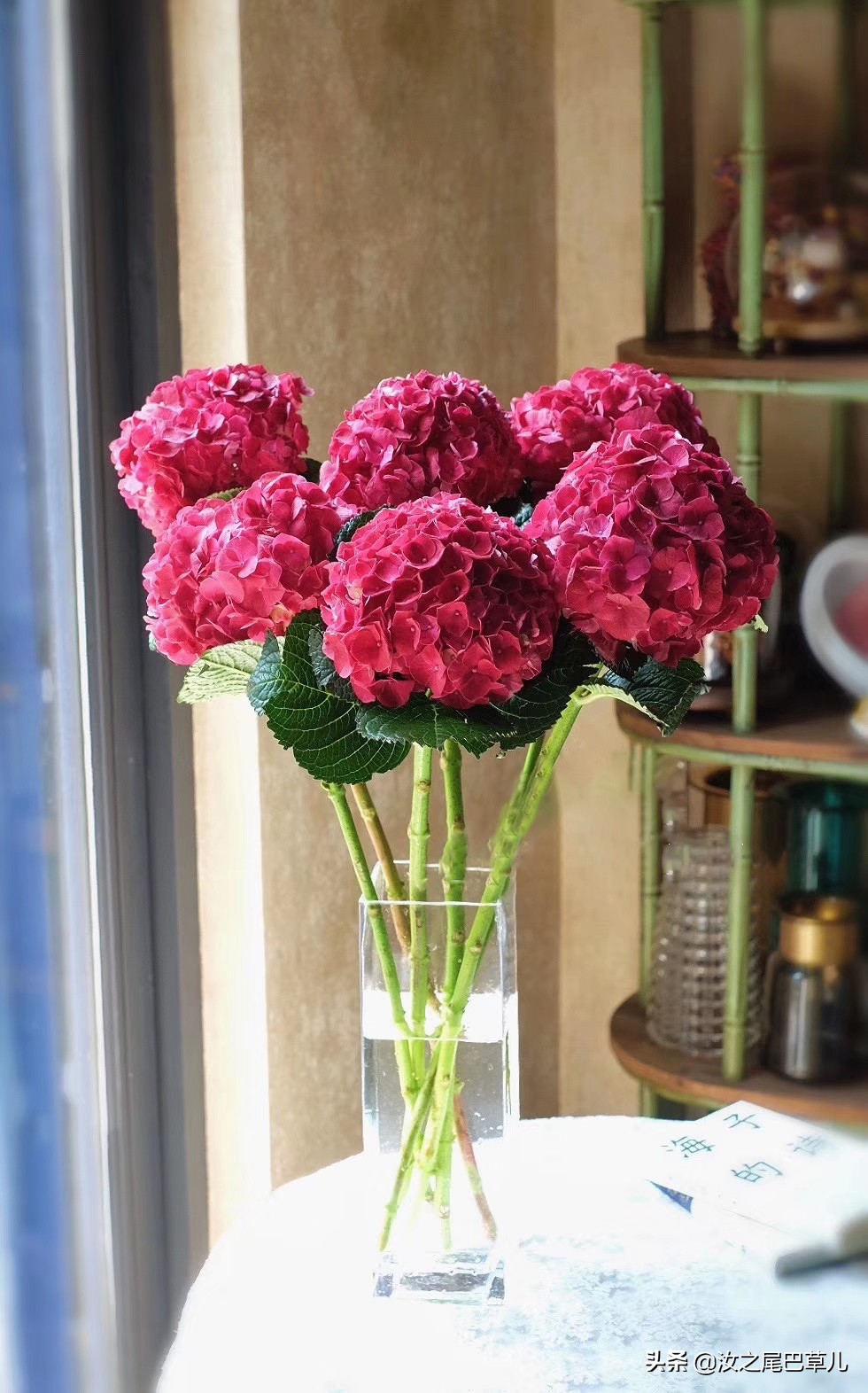 刚买回来的鲜花有点蔫怎么处理,刚买的鲜花就枯萎了是什么原因